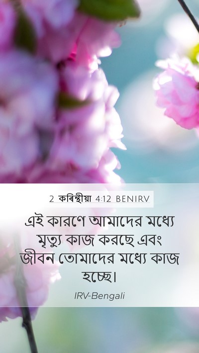 2 কৰিন্থীয়া 4:12 BENIRV Mobile Phone Wallpaper - এই কারণে আমাদের - Mobile Bible Verse Wallpaper