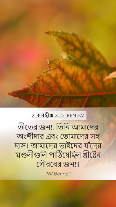 2 কৰিন্থীয়া 8:23 BENIRV Bible Verse Image