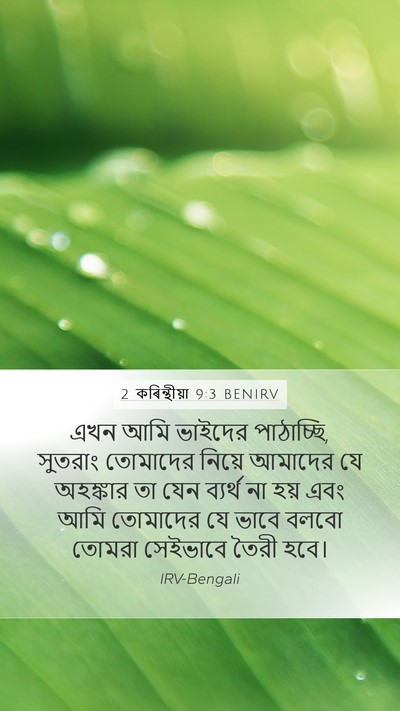 2 কৰিন্থীয়া 9:3 BENIRV Mobile Phone Wallpaper - এখন আমি ভাইদের - Mobile Bible Verse Wallpaper