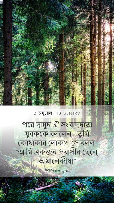 2 চমূৱেল 1:13 BENIRV Mobile Phone Wallpaper - পরে দায়ূদ ঐ - Mobile Bible Verse Wallpaper