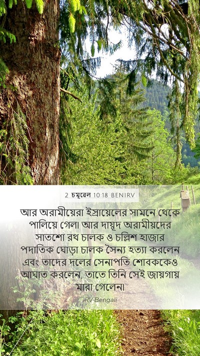 2 চমূৱেল 10:18 BENIRV Bible Verse Image