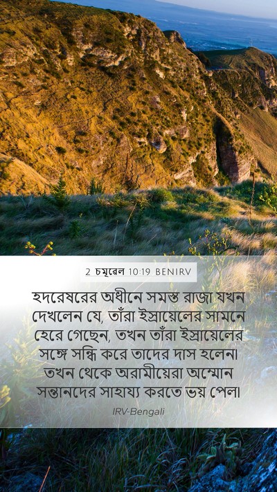 2 চমূৱেল 10:19 BENIRV Bible Verse Image