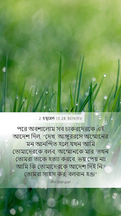 2 চমূৱেল 13:28 BENIRV Bible Verse Image