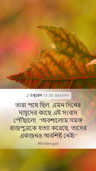 2 চমূৱেল 13:30 BENIRV Bible Verse Image