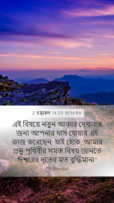 2 চমূৱেল 14:20 BENIRV Bible Verse Image