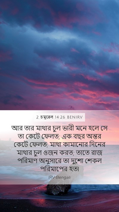 2 চমূৱেল 14:26 BENIRV Bible Verse Image