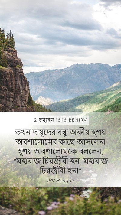 2 চমূৱেল 16:16 BENIRV Bible Verse Image