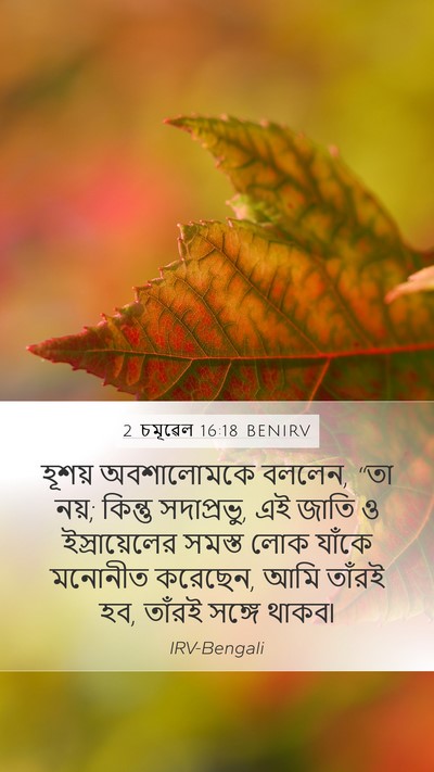 2 চমূৱেল 16:18 BENIRV Bible Verse Image