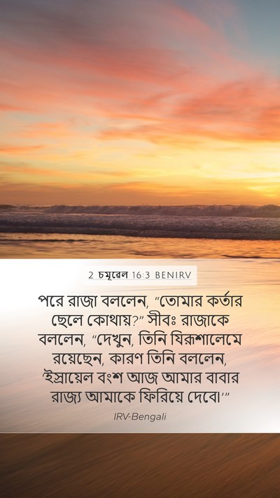 2 চমূৱেল 16:3 BENIRV Mobile Phone Wallpaper - পরে রাজা বললেন, - Mobile Bible Verse Wallpaper