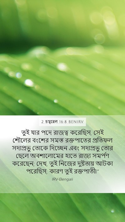 2 চমূৱেল 16:8 BENIRV Bible Verse Image