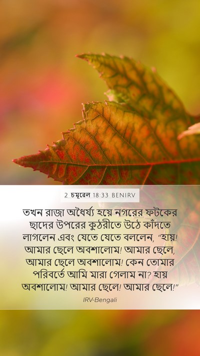 2 চমূৱেল 18:33 BENIRV Bible Verse Image