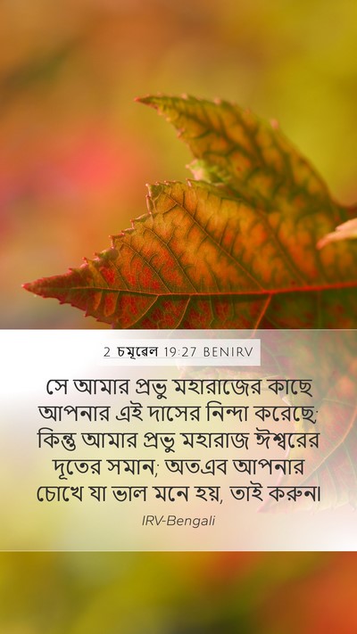 2 চমূৱেল 19:27 BENIRV Bible Verse Image
