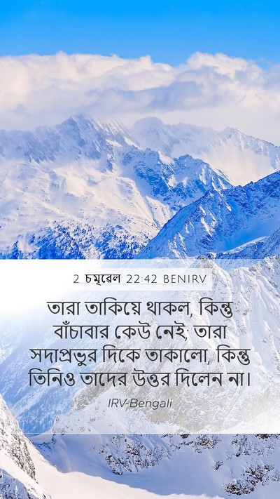 2 চমূৱেল 22:42 BENIRV Bible Verse Image