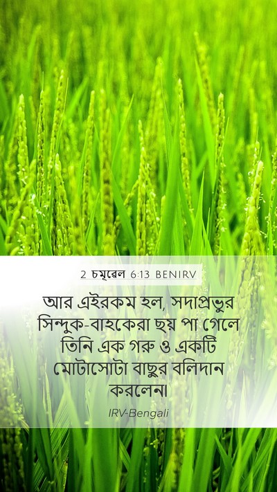 2 চমূৱেল 6:13 BENIRV Bible Verse Image