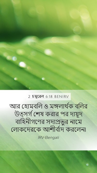 2 চমূৱেল 6:18 BENIRV Bible Verse Image