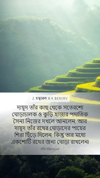 2 চমূৱেল 8:4 BENIRV Bible Verse Image