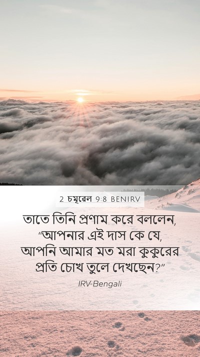 2 চমূৱেল 9:8 BENIRV Bible Verse Image
