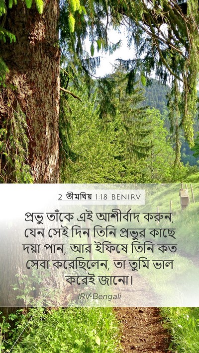 2 তীমথিয় 1:18 BENIRV Bible Verse Image