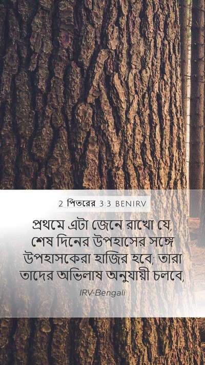 2 পিতরের 3:3 BENIRV Bible Verse Image