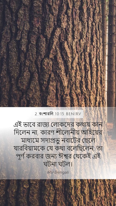 2 বংশাৱলি 10:15 BENIRV Bible Verse Image