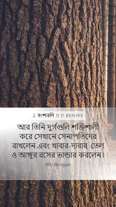 2 বংশাৱলি 11:11 BENIRV Bible Verse Image