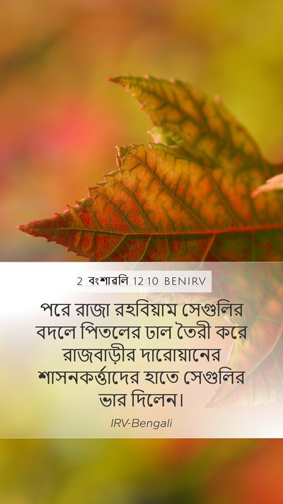2 বংশাৱলি 12:10 BENIRV Bible Verse Image