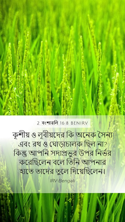 2 বংশাৱলি 16:8 BENIRV Bible Verse Image