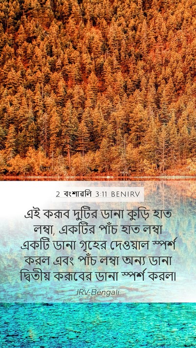 2 বংশাৱলি 3:11 BENIRV Mobile Phone Wallpaper - এই করূব দুটির ডানা - Mobile Bible Verse Wallpaper