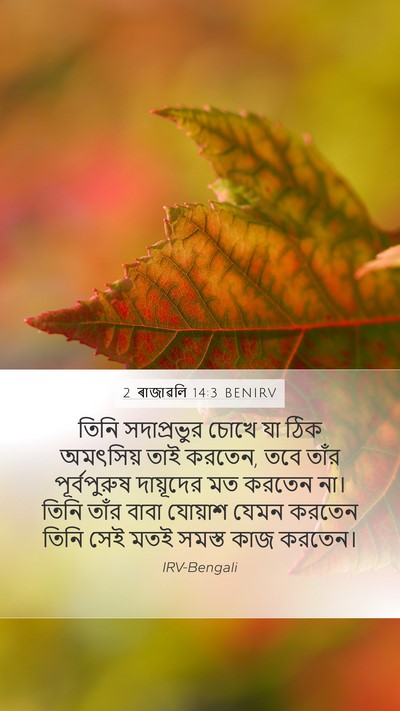 2 ৰাজাৱলি 14:3 BENIRV Bible Verse Image