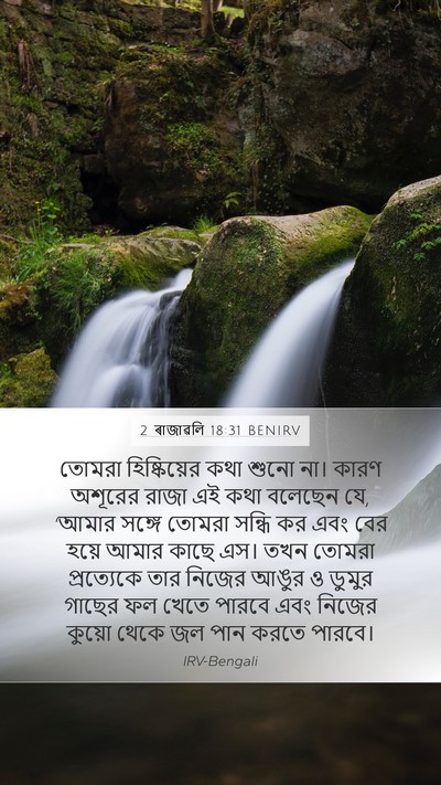 2 ৰাজাৱলি 18:31 BENIRV Bible Verse Image