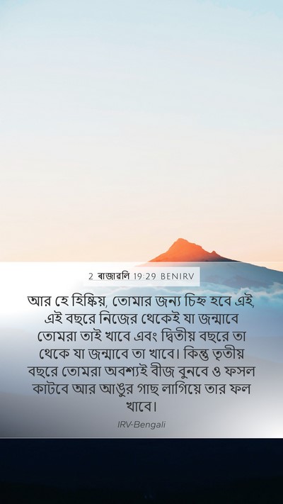 2 ৰাজাৱলি 19:29 BENIRV Bible Verse Image
