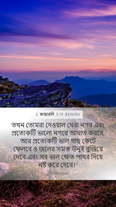 2 ৰাজাৱলি 3:19 BENIRV Mobile Phone Wallpaper - তখন তোমরা দেওয়াল - Mobile Bible Verse Wallpaper