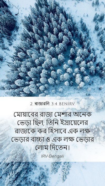 2 ৰাজাৱলি 3:4 BENIRV Bible Verse Image