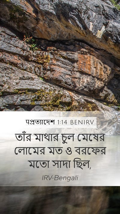 पপ্রত্যাদেশ 1:14 BENIRV Bible Verse Image