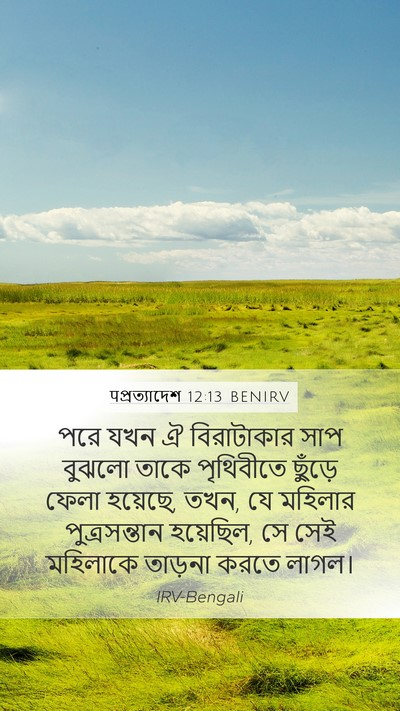 पপ্রত্যাদেশ 12:13 BENIRV Bible Verse Image