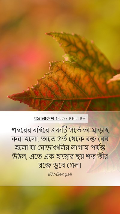 पপ্রত্যাদেশ 14:20 BENIRV Bible Verse Image