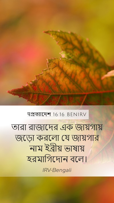 पপ্রত্যাদেশ 16:16 BENIRV Bible Verse Image