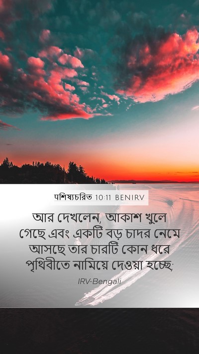 पশিষ্যচরিত 10:11 BENIRV Bible Verse Image