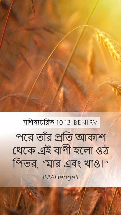 पশিষ্যচরিত 10:13 BENIRV Bible Verse Image