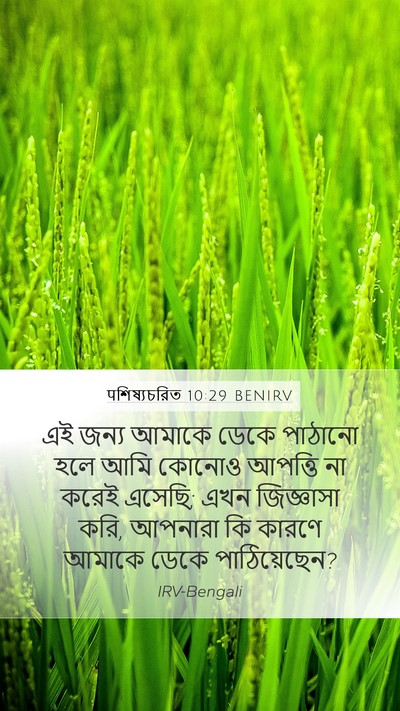 पশিষ্যচরিত 10:29 BENIRV Bible Verse Image