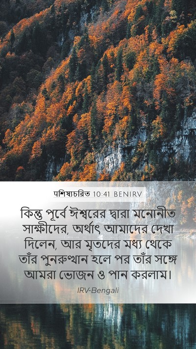 पশিষ্যচরিত 10:41 BENIRV Bible Verse Image
