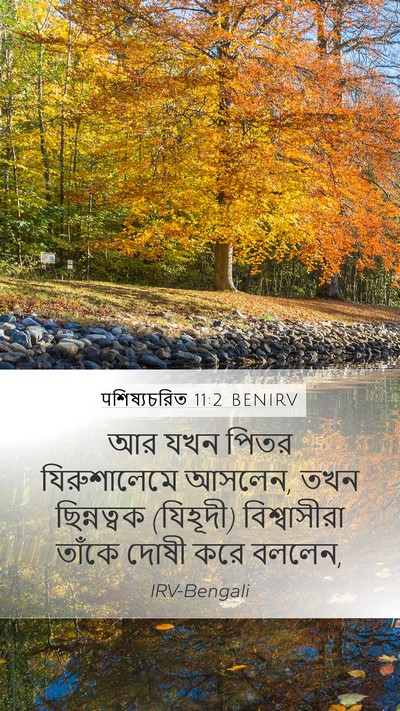 पশিষ্যচরিত 11:2 BENIRV Bible Verse Image