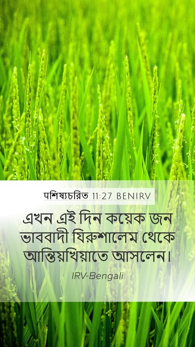 पশিষ্যচরিত 11:27 BENIRV Bible Verse Image
