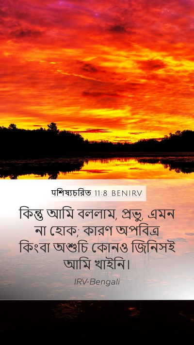पশিষ্যচরিত 11:8 BENIRV Bible Verse Image