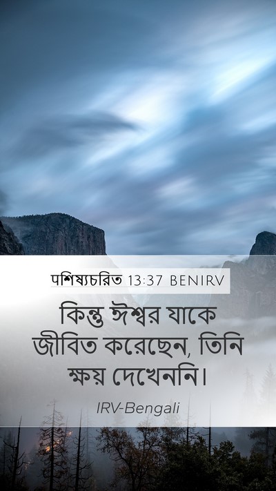 पশিষ্যচরিত 13:37 BENIRV Bible Verse Image