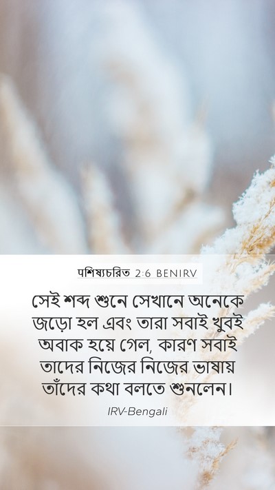 पশিষ্যচরিত 2:6 BENIRV Bible Verse Image