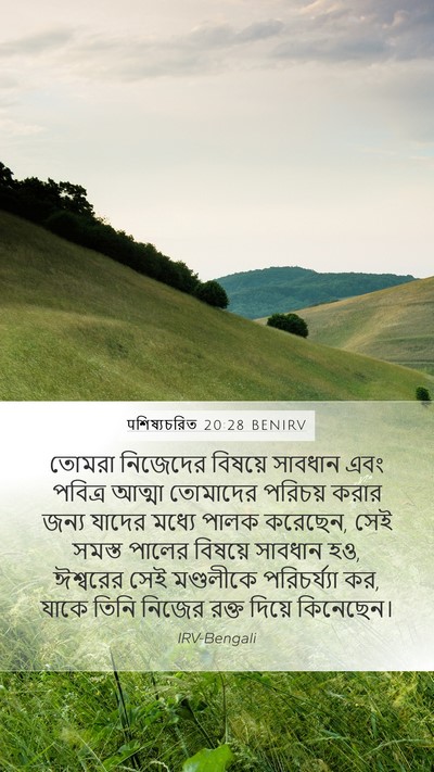 पশিষ্যচরিত 20:28 BENIRV Bible Verse Image