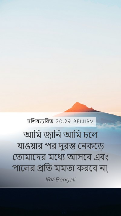 पশিষ্যচরিত 20:29 BENIRV Bible Verse Image