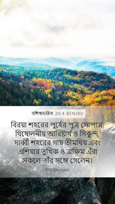 पশিষ্যচরিত 20:4 BENIRV Bible Verse Image