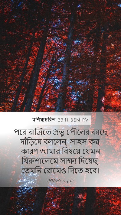 पশিষ্যচরিত 23:11 BENIRV Bible Verse Image